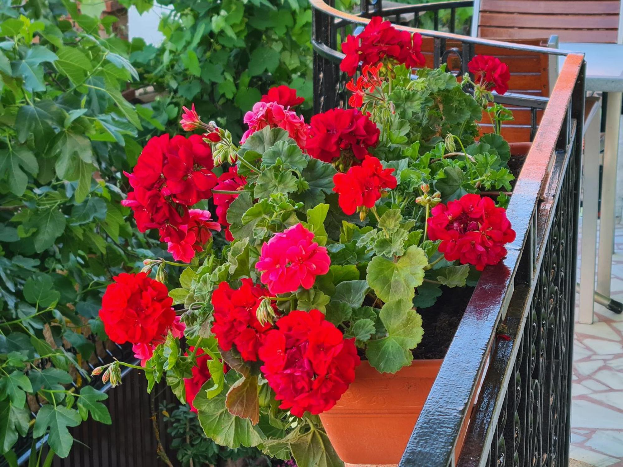 Casa Bianca 호텔 Două Mai 외부 사진